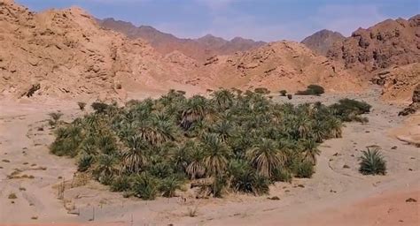 Elim The Desert Oasis Doubting Thomas Research