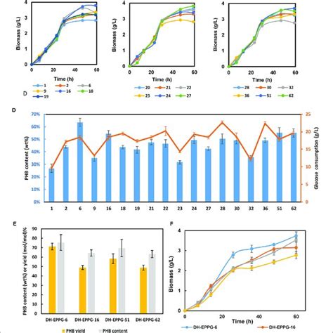 Fermentation Result Of The Engineered EP Bifido Strains A Growth