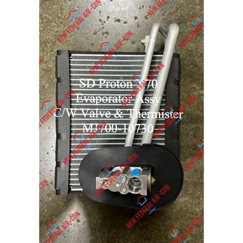 Original Sanden Proton X Cooling Coil Carry With Expansion Valve