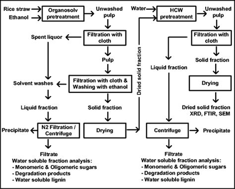 Schematic Representation Of The Rice Straw Pretreatment Process