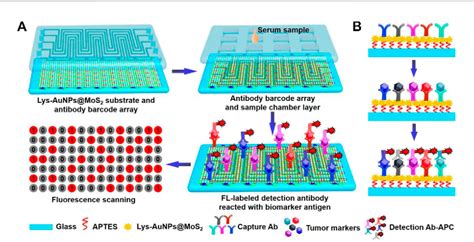 Figure 2 From Recent Progress Of Microfluidic Chips In Immunoassay