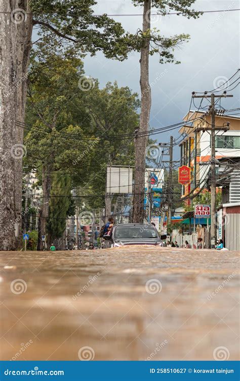 Chiang Mai Thai October Pictures Of The Suffering Of Flood