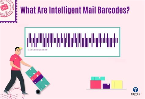 A Complete Guide To Intelligent Mail Barcodes