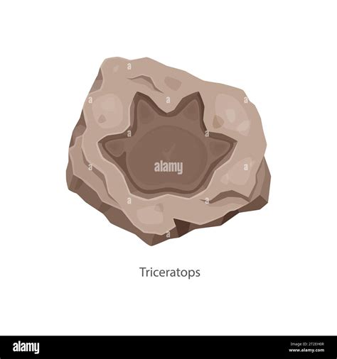 Ancient Triceratops Dinosaur Footprint Archaeology Fossil Isolated