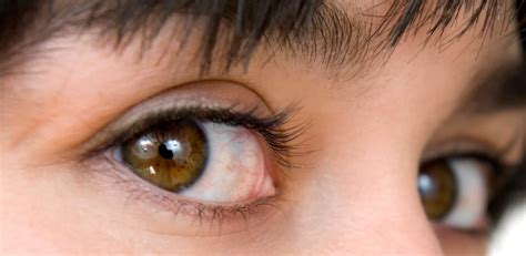 8 Tips For Proper Contact Lens Care And Hygiene Health Tips Now