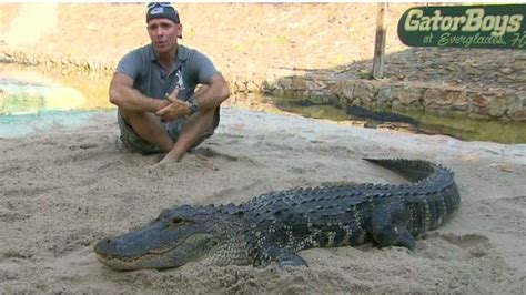 'Gator Boys' Paul Bedard removes 8-foot gator from family's front porch ...