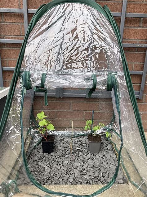 Winter Balcony Winter Garden Tiny Balcony Balcony Garden Growing