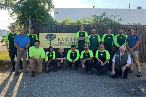 Tree Service And Shrub Care In Farmingdale Ny Bartlett