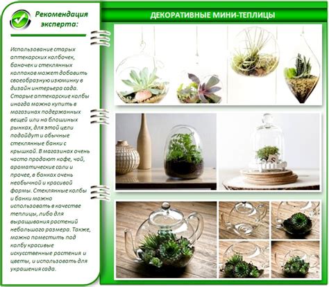 Мини-теплицы - разновидности, инструкции по изготовлению с чертежами и фото