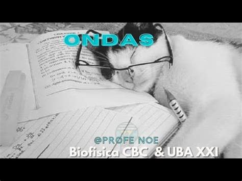 Ondas Introducción Biofísica CBC UBA XXI YouTube