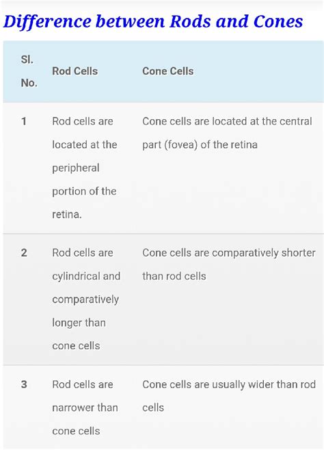 Difference Between Rod Cells And Cone Cells Science The Human Eye