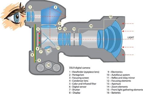 FAQ: What is a DSLR? - Adorama Learning Center