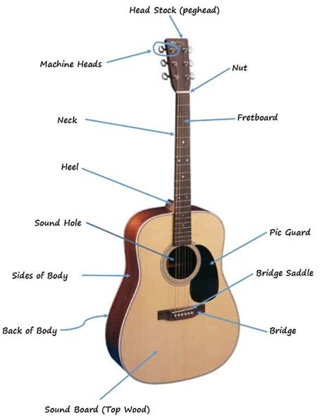 Guitar Parts Diagram Acoustic