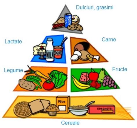 The Food Pyramid Is Filled With Different Foods