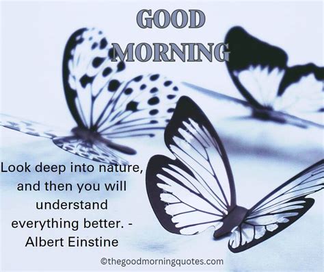 54 Beautiful Good Morning Nature Quotes Good Morning Quotes