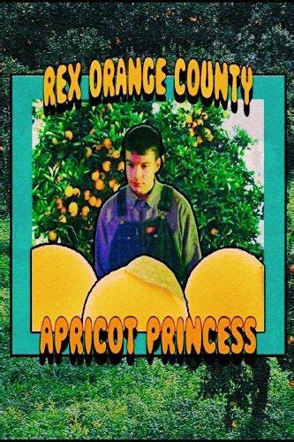 Rex Orange County Music Poster Music Poster Ideas Picture Collage Wall