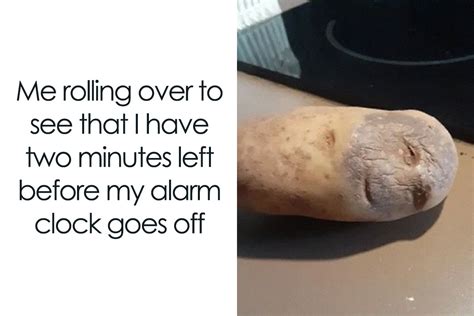 40 Funny Memes And Jokes To Tickle Your Funny Bone Bored Panda