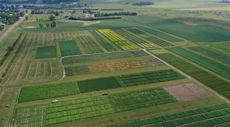 Annual Western Dakota Crops Day Set For Dec Morning Ag Clips