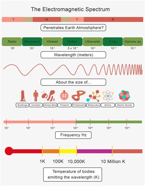 Science 8 Electromagnetic Spectrum Worksheet Answers Several Electromagnetic Spectrum