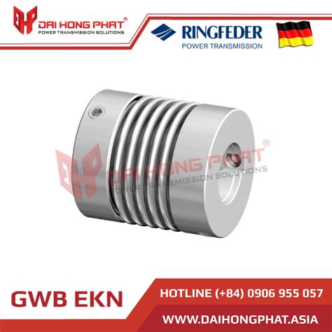 KHỚP KHÓA TRỤC RINGFEDER RFN 7012 2 Đại Hồng Phát