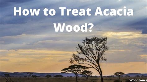 Acacia Wood Vs Pine Wood Woodtours Wood Tours