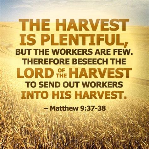 So Many People Need Jesus I Pray The The Lord Of The Harvest Would