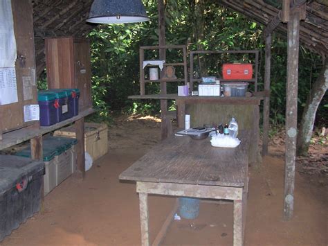 Zoos und Zoovereine unterstützen Drills in Nigeria Tierpark Nordhorn