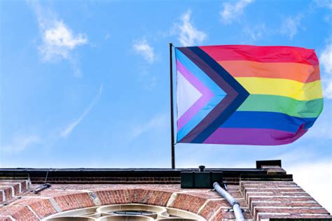 63000 Bandera Lgbt Fotografías De Stock Fotos E Imágenes Libres De Derechos Istock