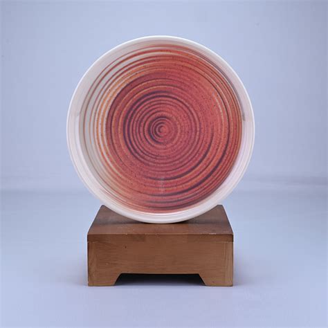 dinner plates buy  piece plate dinner sets  servewell
