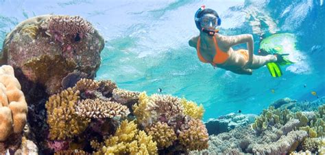 Find Key West Snorkeling Information Here At Fla Keys The Official