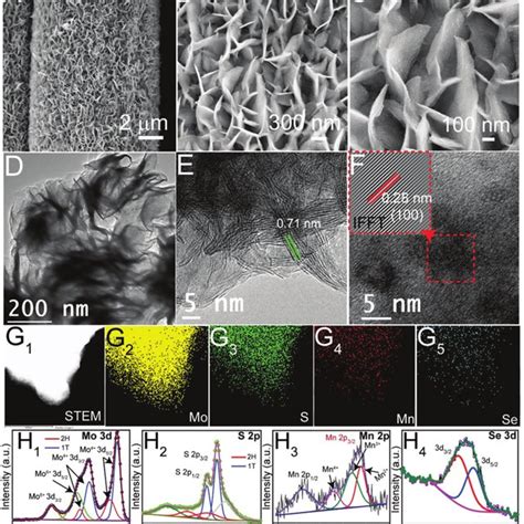 A C Fe Sem Images At Different Magnifications Low To High Of 1t Mn X Download Scientific