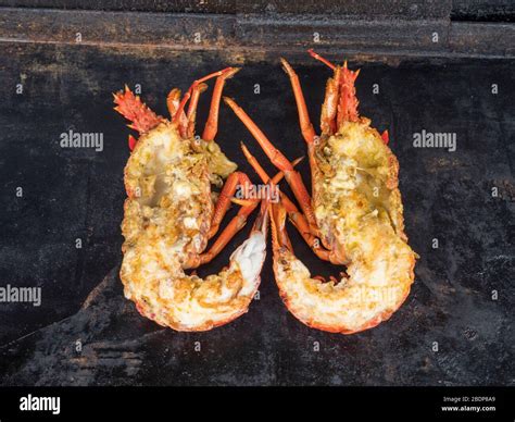 New zealand crayfish hi-res stock photography and images - Alamy