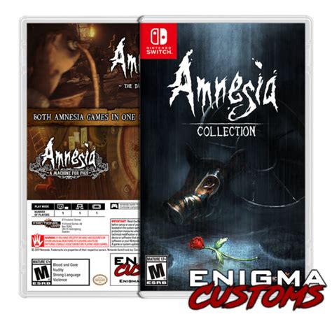 Amnesia: Collection | Enigma Customs