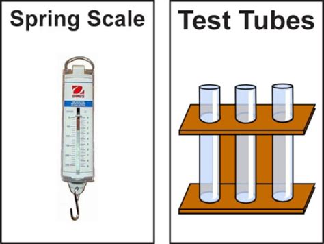 Science Lab Equipment Posters - Etsy