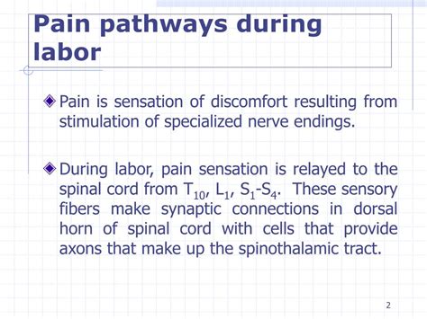 PPT - Pain Relief in Labor PowerPoint Presentation, free download - ID ...