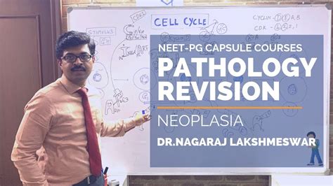 Neoplasia NEET PG Pathology Revision YouTube