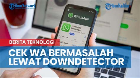mengetahui whatsapp web bermasalah lewat downdetector lengkap
