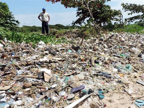 G1 Mppe Abre Inquérito Civil Sobre Lixo Em Praia De Olinda E Cobra