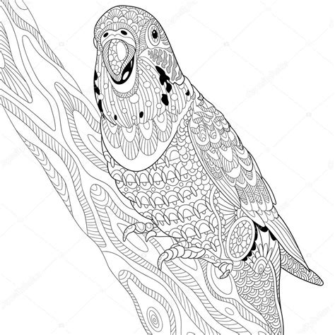 Zentangle Stylizowane Budgie Papuga Grafika Wektorowa Sybirko