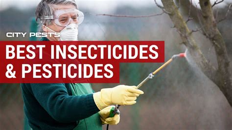 Best Insecticides Pesticides Reviews And Buyers Guide 2024