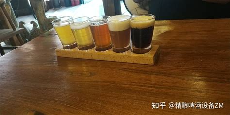 国家酿酒师为您解答精酿啤酒厂生意能不能做 知乎