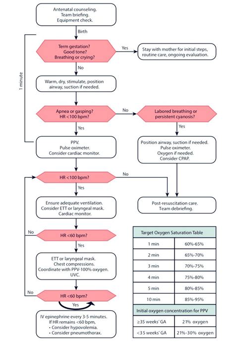 Neonatal Resuscitation Program Wall Chart Th Edition Aed Off