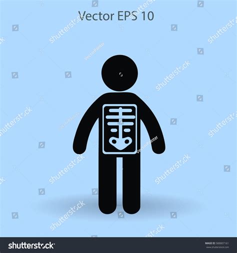 Xray Vector Illustration Stock Vector (Royalty Free) 588807161