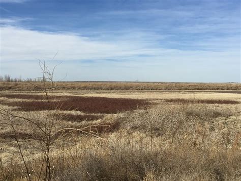 Buffalo Lake National Wildlife Refuge Canyon All You Need To Know