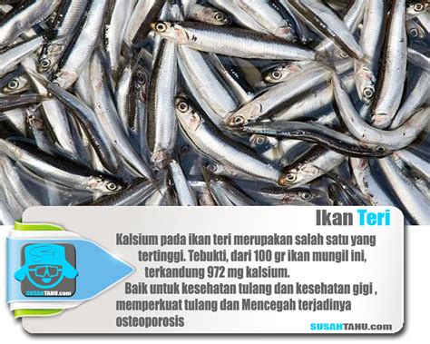 Kandungan Gizi Ikan Teri Homecare24