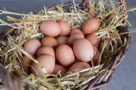 Eier aus Freilandhaltung Hofladen Mariannenhöhe