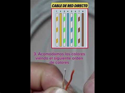 Como Hacer Un Cable De Red Youtube