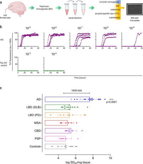 Tau Acta Neuropathologica X Mol