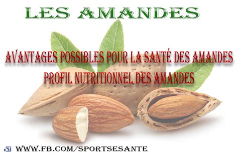 Sports Et Sant Les Amandes Bienfaits Profil Nutritionnel