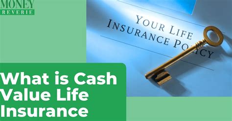 What Is Cash Value Life Insurance 2024 Money Reverie